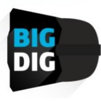 Big Digitals Avatar
