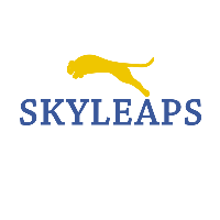 Skyleap Solutions Avatar