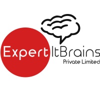 Expert IT Brains Private Limited Avatar