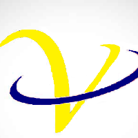 Voice International Consultancy Team Avatar