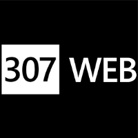 307WEB Avatar
