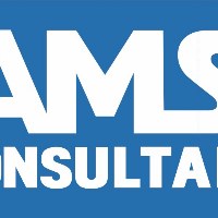AMS Consultant Avatar