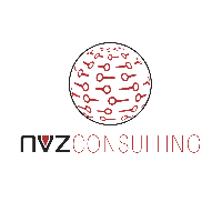 NVZ Consulting Avatar