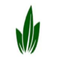 Costa Rica Outsourcing Services Avatar