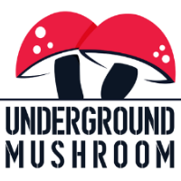 Underground Mushroom Avatar