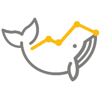 InsightWhale