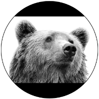 Bear Grove Consulting Avatar
