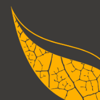 Leafy Code International Avatar