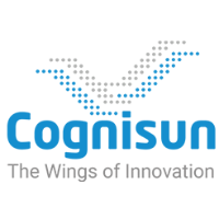 Cognisun Infotech Pvt Ltd Avatar