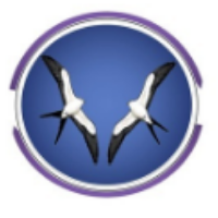 KitesNet Avatar