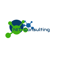 NIT Consulting Avatar