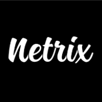 NetrixDigital Avatar
