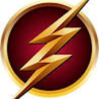 Rapid Online Services Avatar