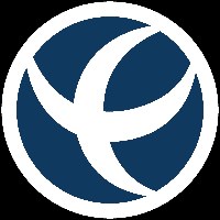 CyberVision International Avatar