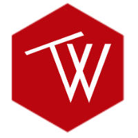 TechWob IT Avatar