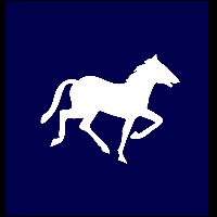 Nomadic Soft Avatar