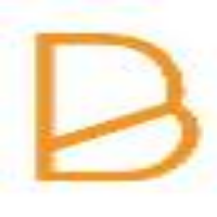 Branchez Consulting Avatar