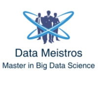Data Meistros Avatar