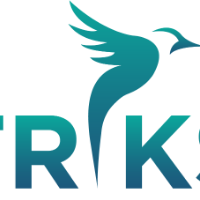 Rectriks Solutions Avatar