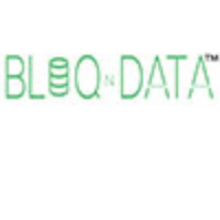 BLOQnDATA™️ Avatar