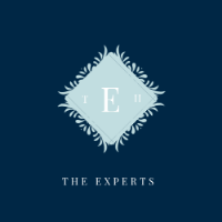 The Experts Avatar