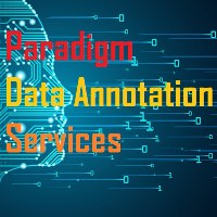 PARA.DIGM Data Annotation (I.T.) Services Avatar