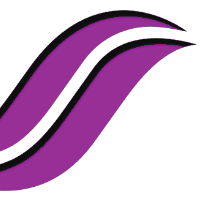 Silk Technologies Avatar
