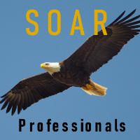 SOAR Professionals Avatar