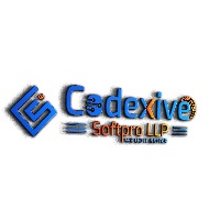 CODEXIVE SOFTPRO LLP Avatar