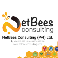 NetBees Consulting (Pvt) Ltd Avatar