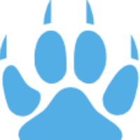 LynxDev Avatar
