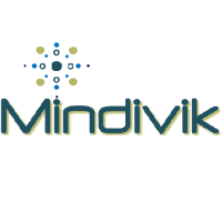 Mindivik Software Solutions Avatar