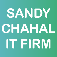 Sandy Chahal IT Firm Avatar
