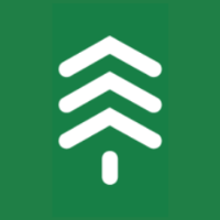 PineLayer Avatar