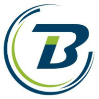 Biz-Insights IT Solutions Avatar