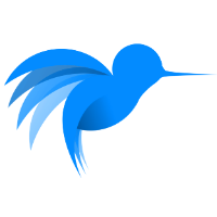 Hummingbird IT Avatar