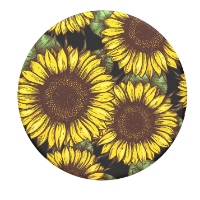 Sunflower Solutions