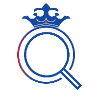 Queidt - (Queen’s Innovative Diigital Technologies) Avatar