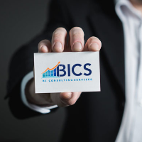 BI Consulting Services, LLC