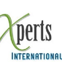 Xperts International Avatar