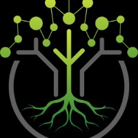 RootMode Consulting Avatar
