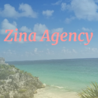 Zina Agency Avatar