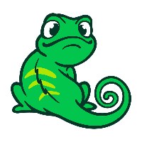 Flying Gekko Team Avatar