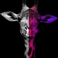 "StaffGiraffe" Branding agency Avatar