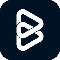 Bluvium Inc Avatar