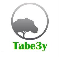 Tabe3y Design Studio 