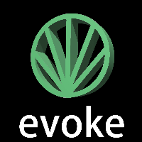 Evoke  Avatar