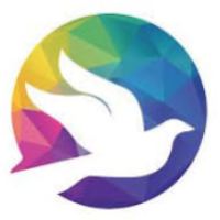 Flying Colors Avatar