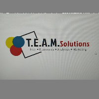 T.E.A.M. Solutions Avatar