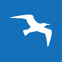 Baygull Studios Avatar